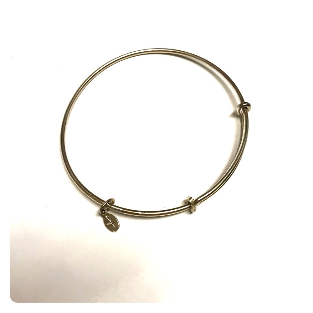 Alex and Ani